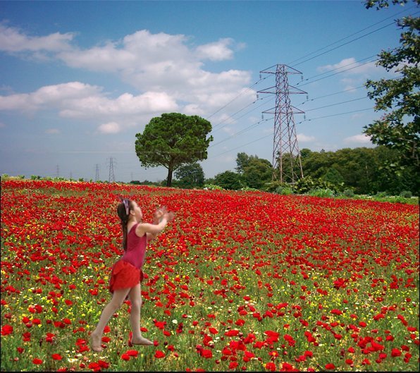 Poppy the Flower Dancer